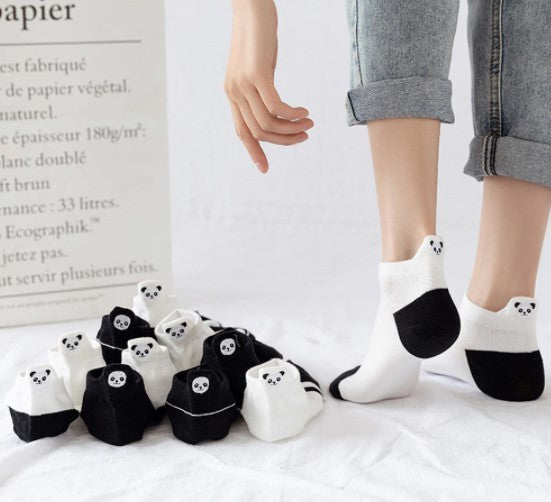 Lot de chaussettes avec des pandas